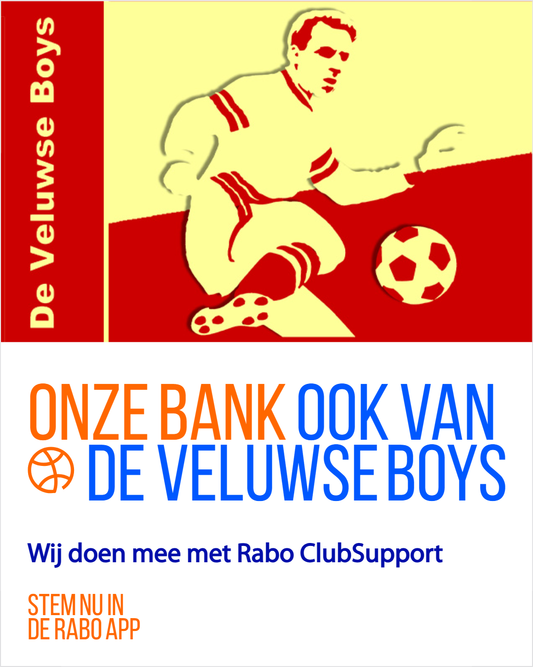 Steun Veluwse Boys via Rabo ClubSupport
